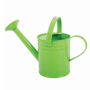 Big Jigs Green Watering Can